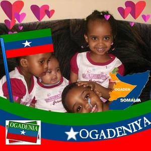 Meet your Posher, Fartuun